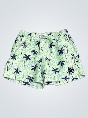 American Eagle Palm Tree Swim Trunks