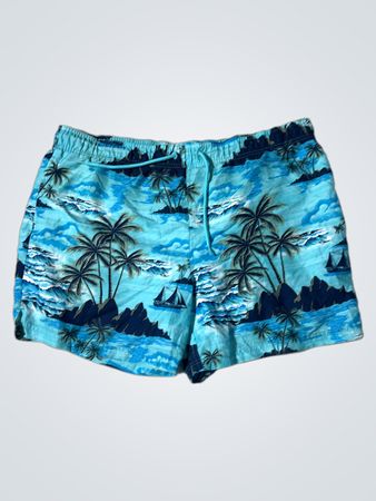 George Schwimmshorts