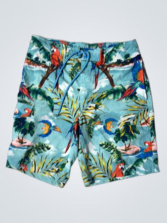 George Schwimmshorts