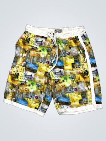 Surf 65 Centra Herren Schwimmshorts mit Postkartenmotiv