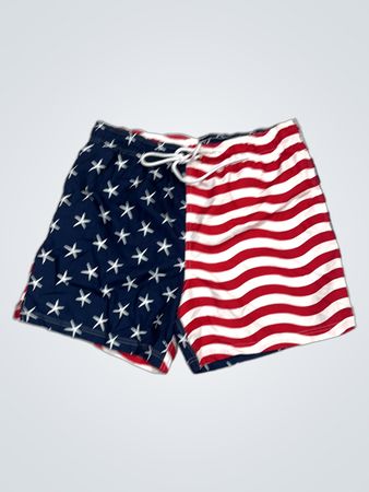George American Flag Print Badehose