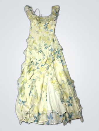 Rita Ora x Primark Floral Dress