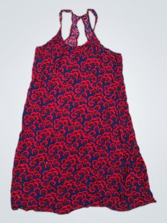 Red and Blue Floral Dress