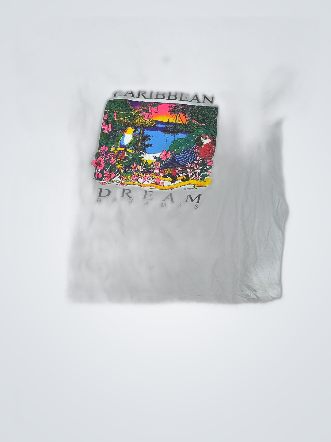 Caribbean Dream Bahamas T-Shirt
