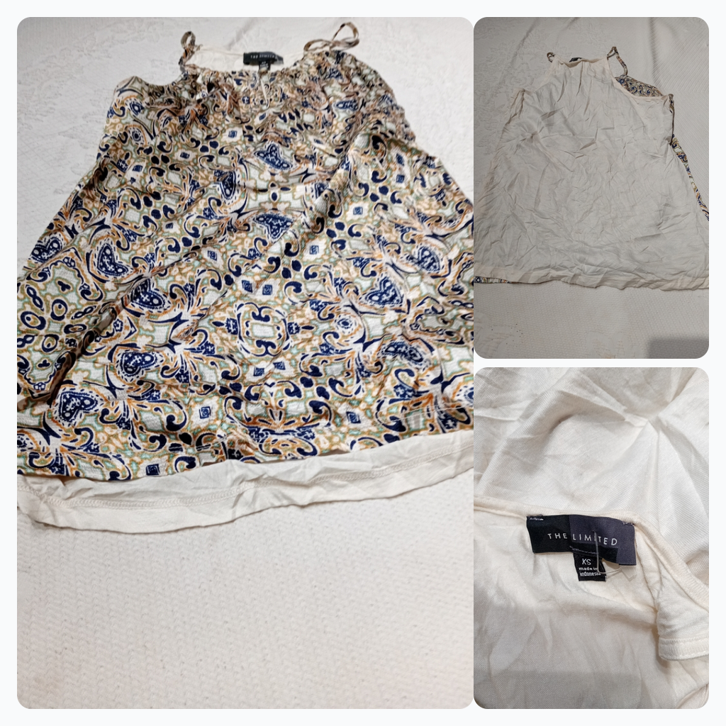 The Limited Paisley Print Cami Top