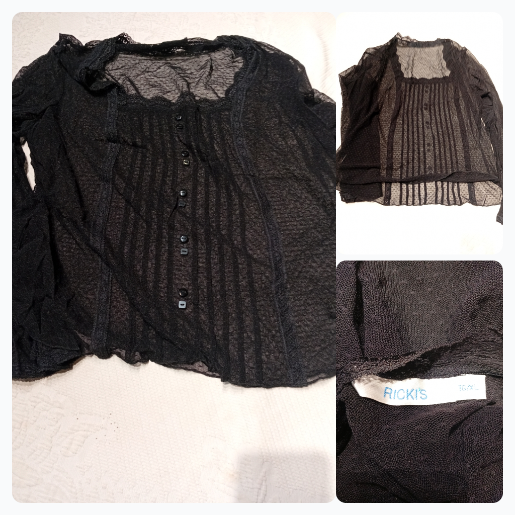 Black Sheer Button-Down Blouse