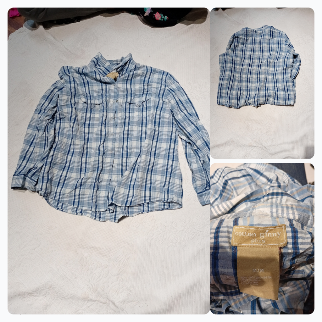 Cotton Ginny Plus Blue Plaid Button-Up Shirt