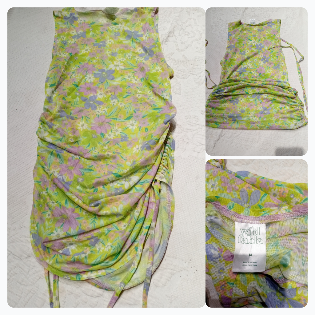 Wild Fable Floral Print Mini Dress
