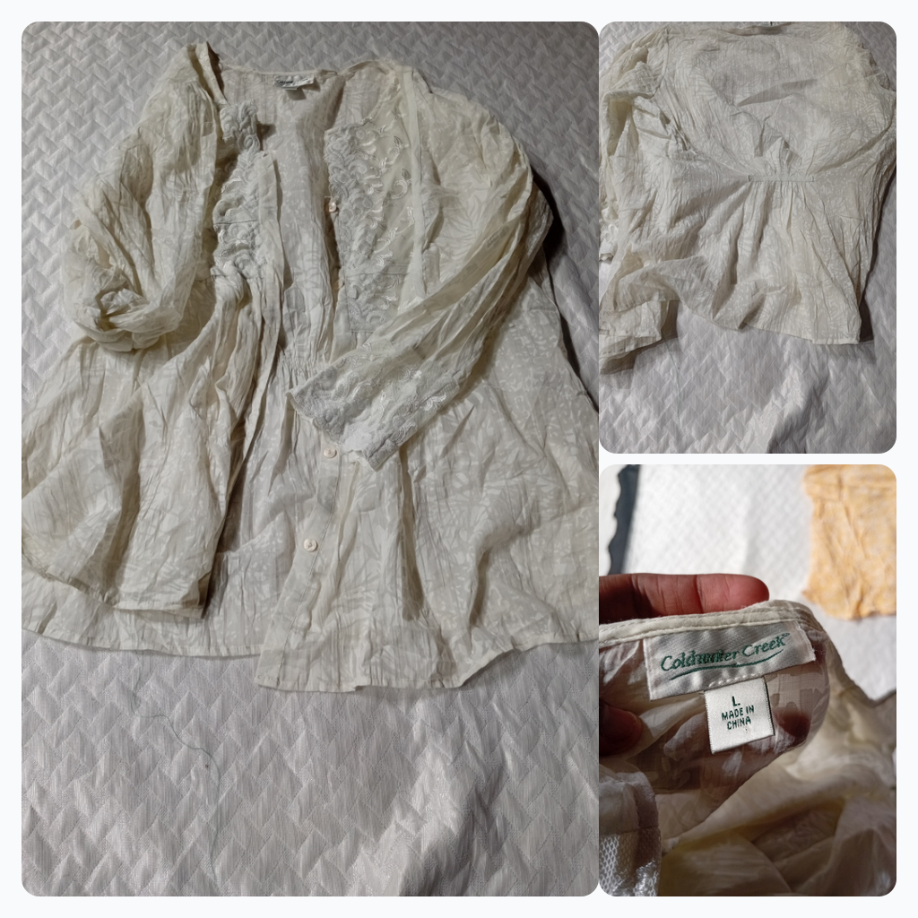 Coldwater Creek Embroidered Button-Up Blouse