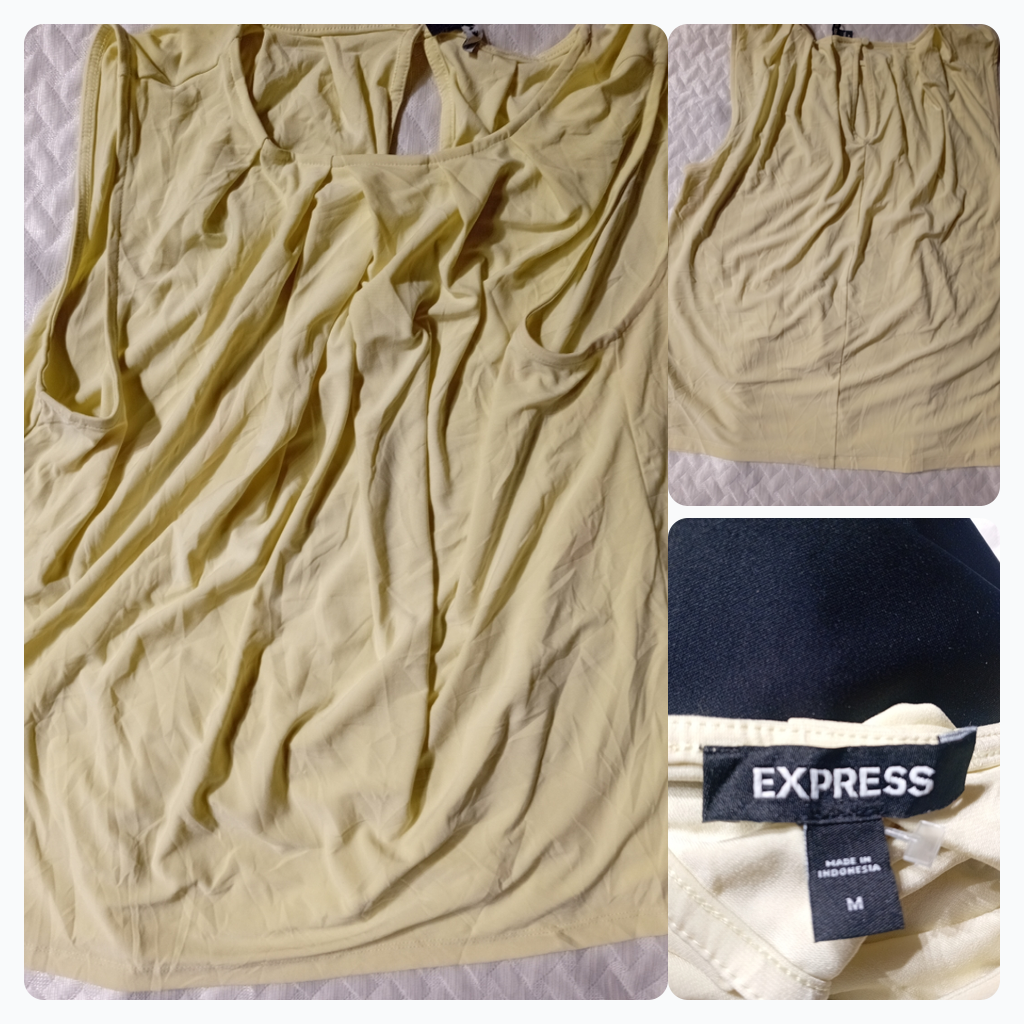 Express Sleeveless Top