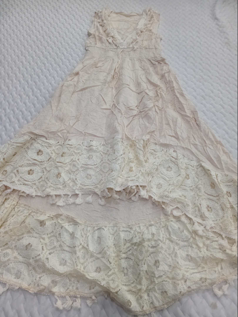 Lace Trimmed Sleeveless Dress