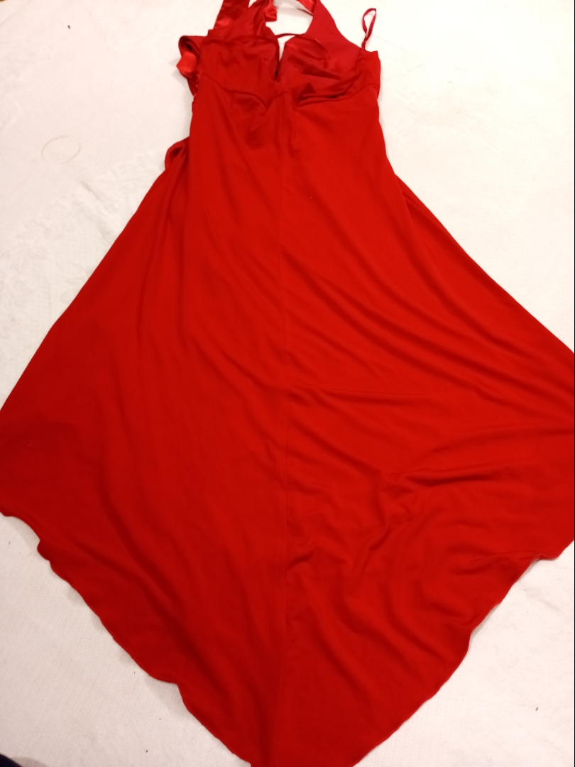 Alyn Paige New York Red Maxi Dress with Bow Detail