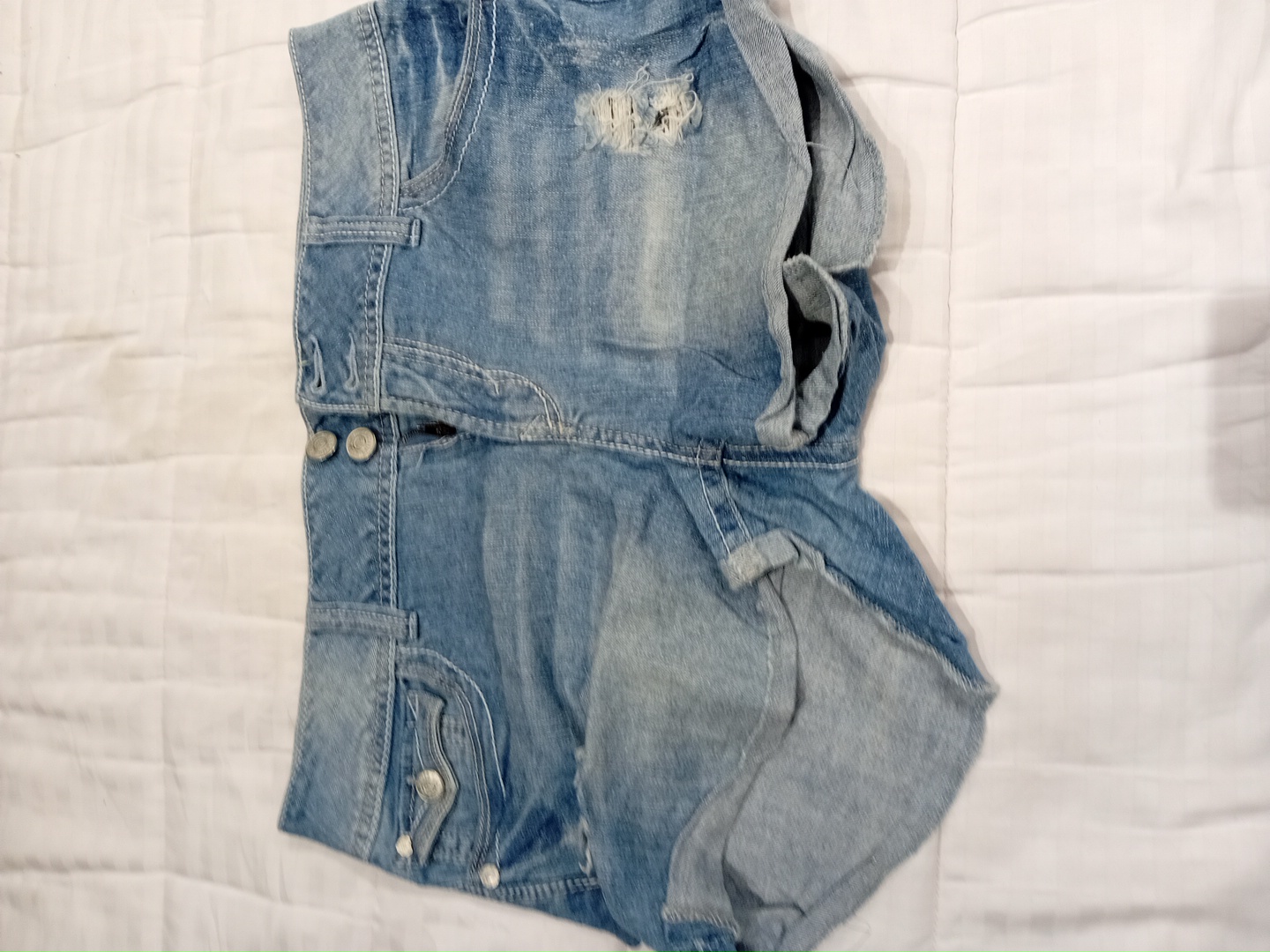WallFlower Denim Shorts