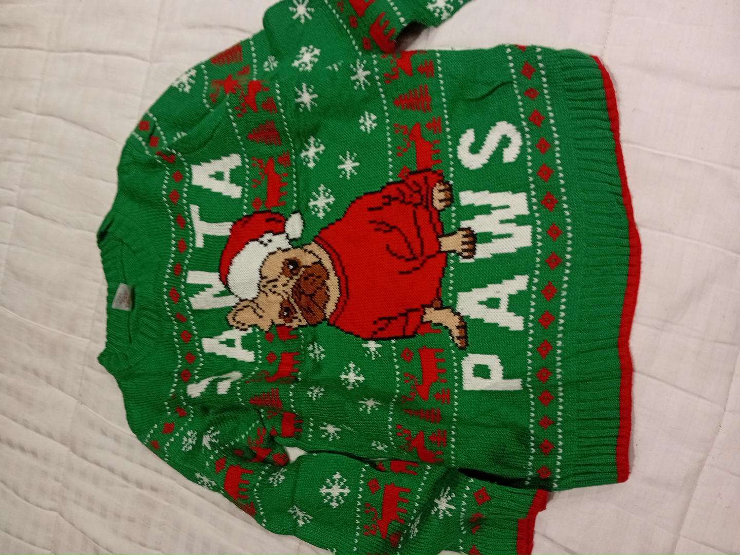 Holiday Time Santa Paws Green Sweater