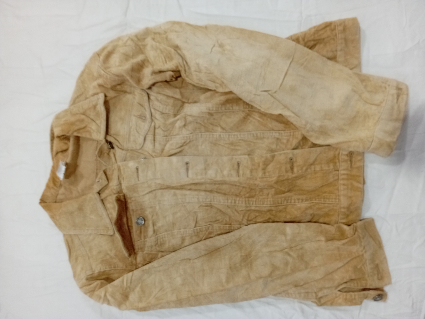 Giacca in velluto a coste beige