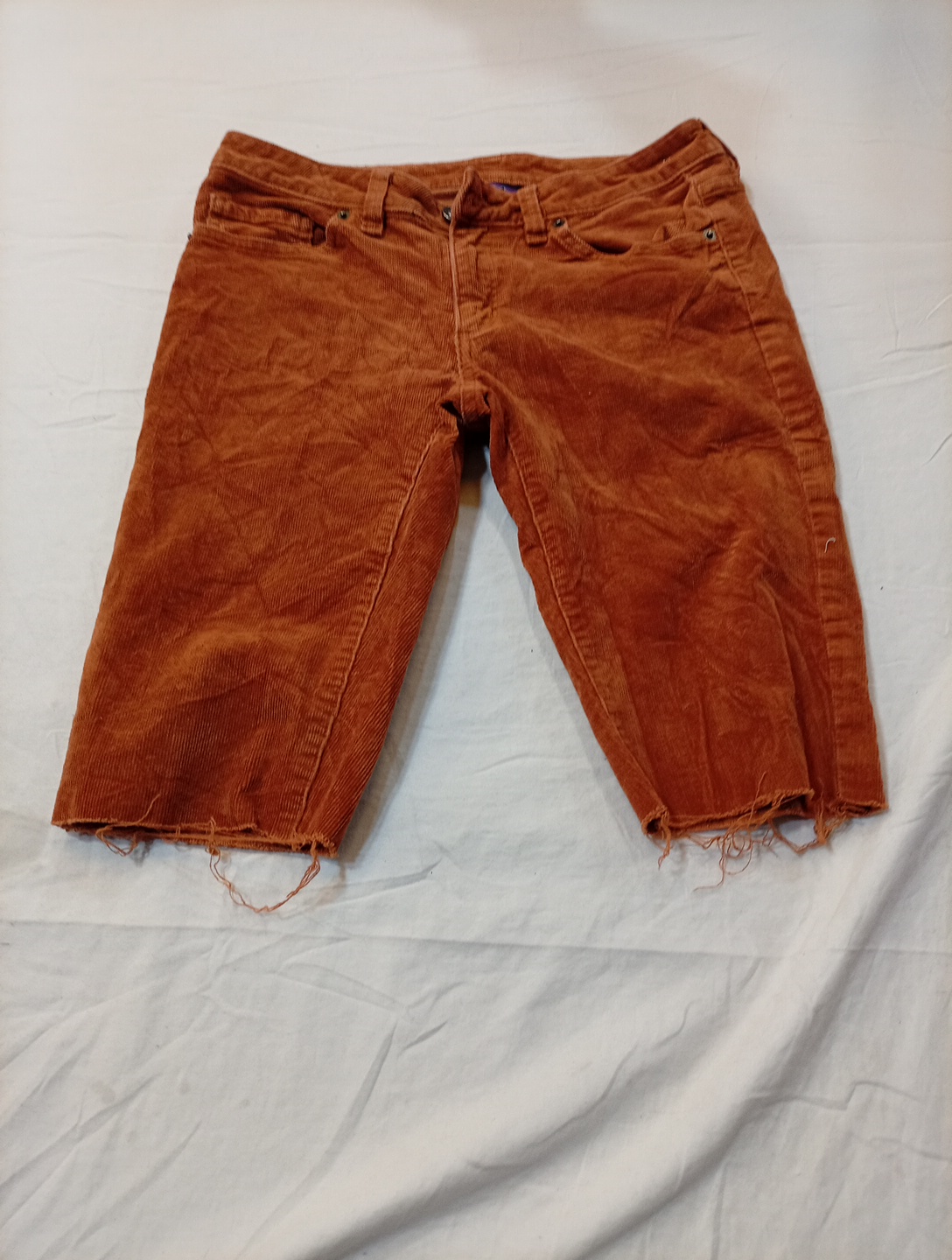 Pantalons en coton biologique Patagonia