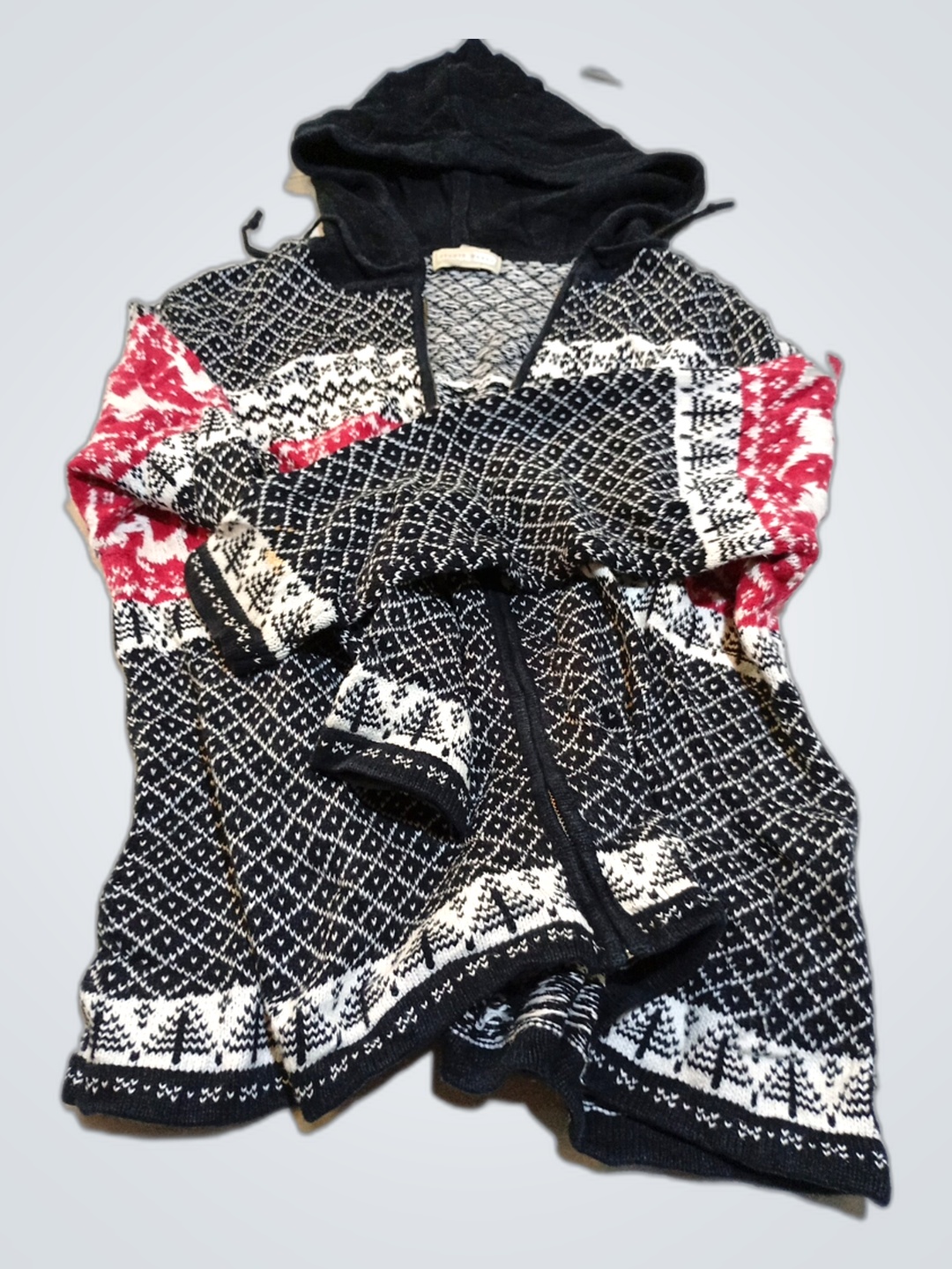 The North Face Hooded Jacket