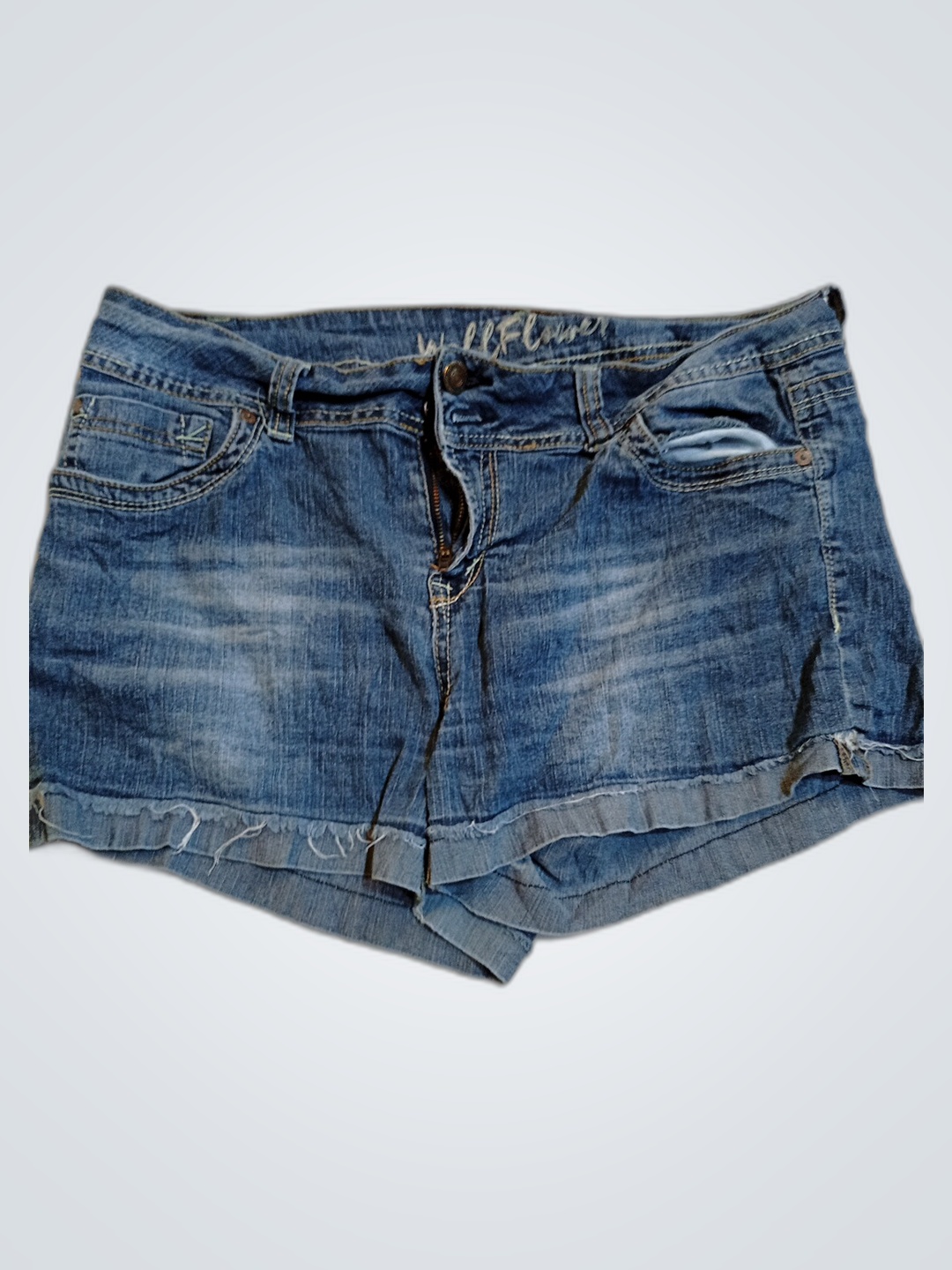 Wellflower Denim Shorts