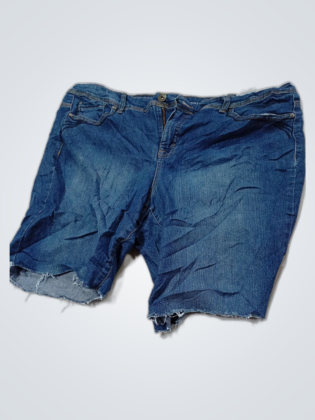 Shorts en jean droit pour femmes Style & Co