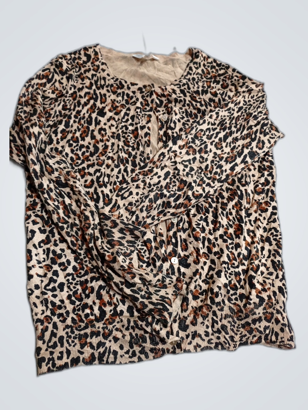 Leopard Print Blouse