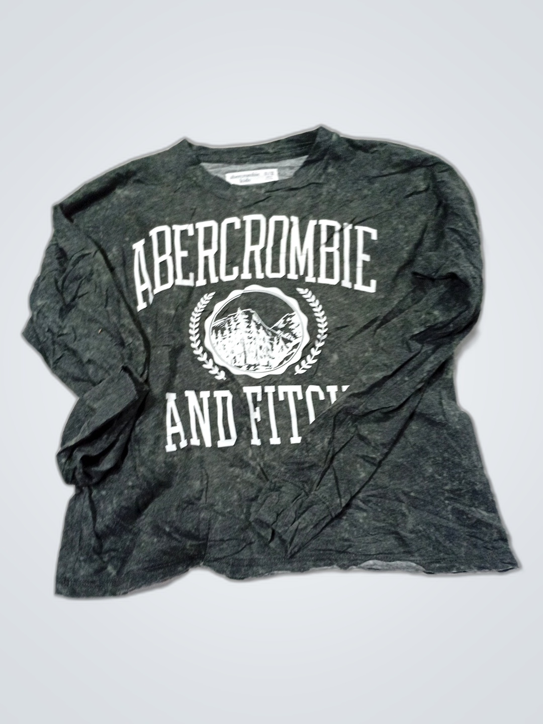 Abercrombie and Fitch T-Shirt