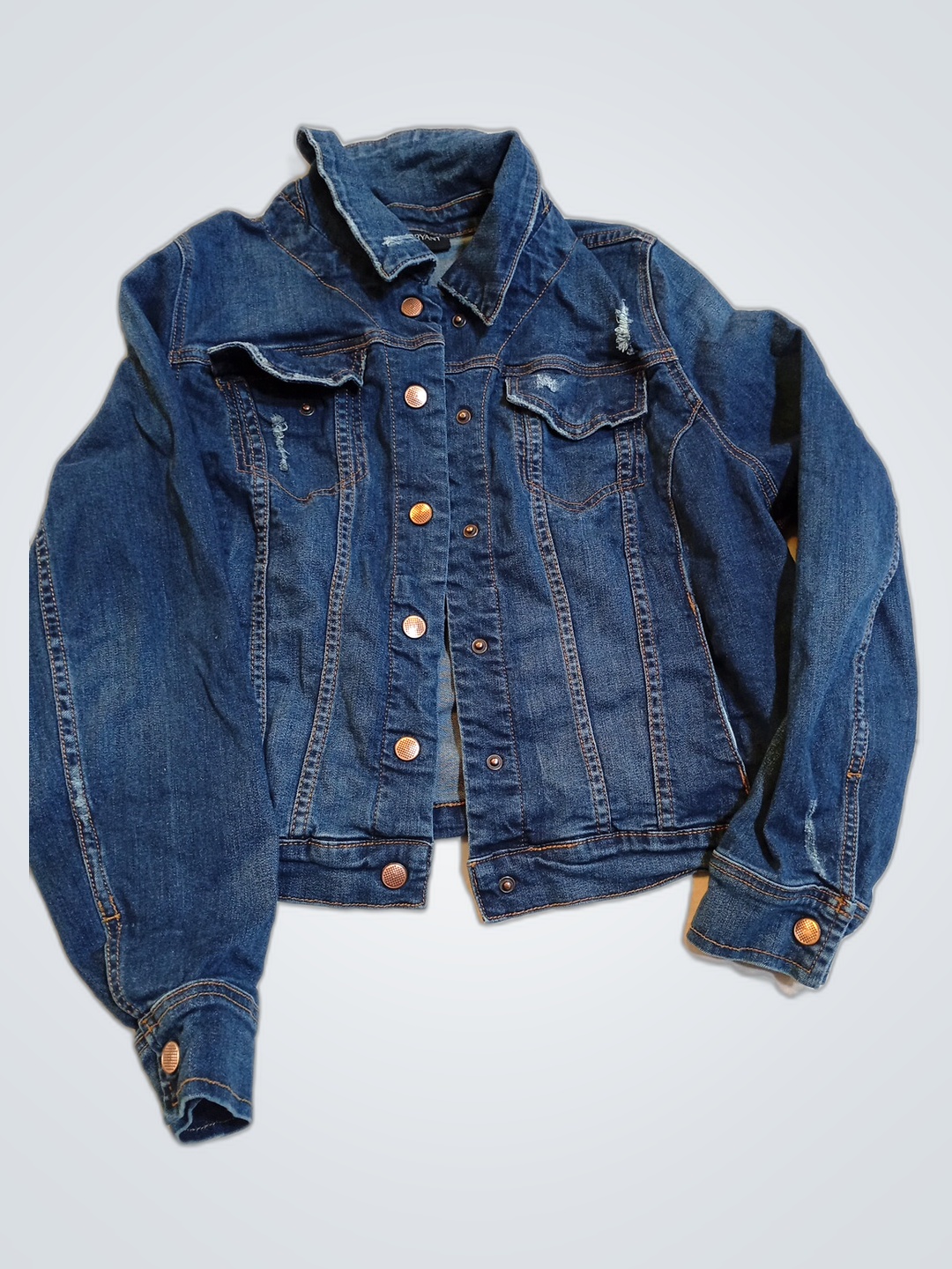 Lane Bryant Denim Jacket