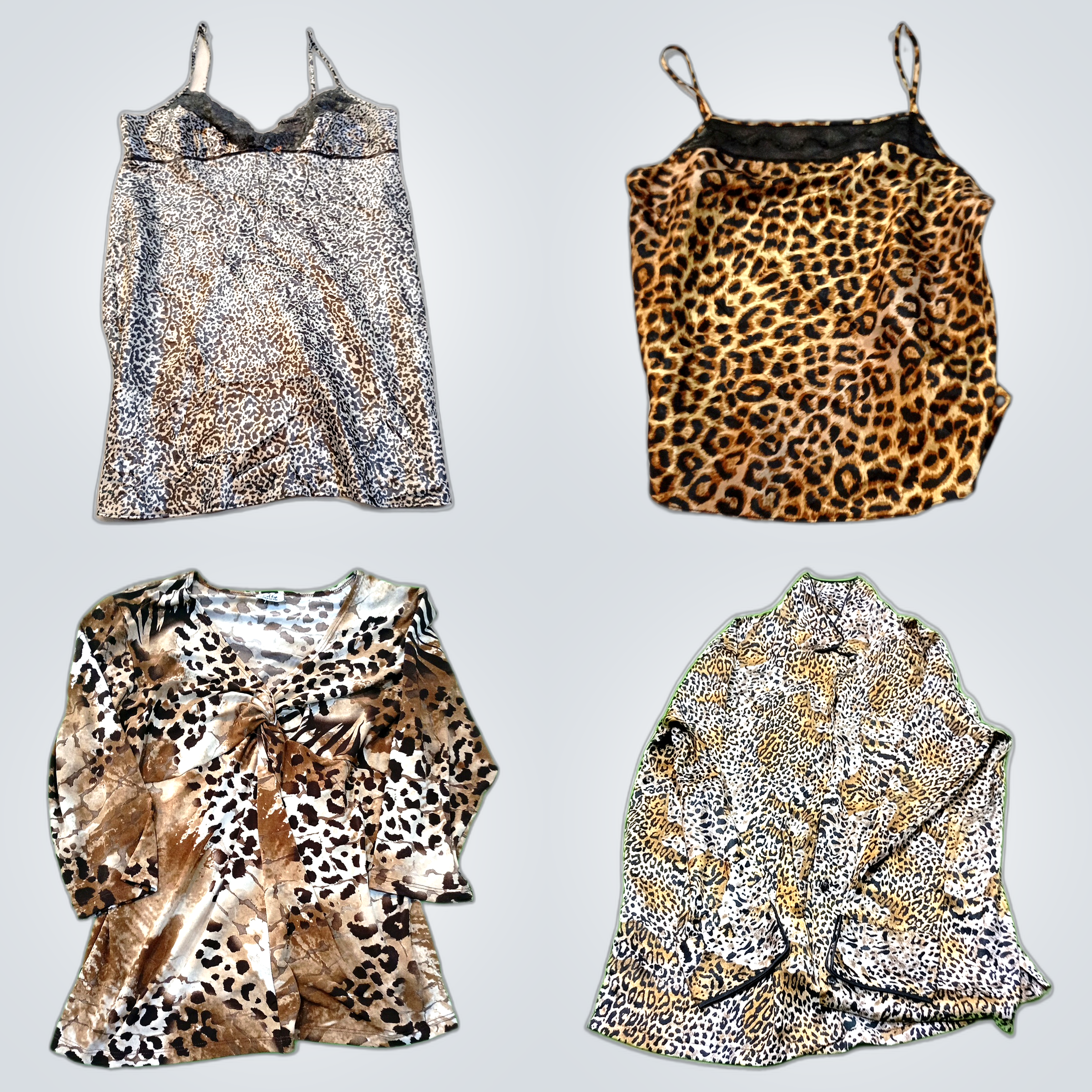 Pacchetto a Stampa Leopardo e Animale: Lotto di Mo..