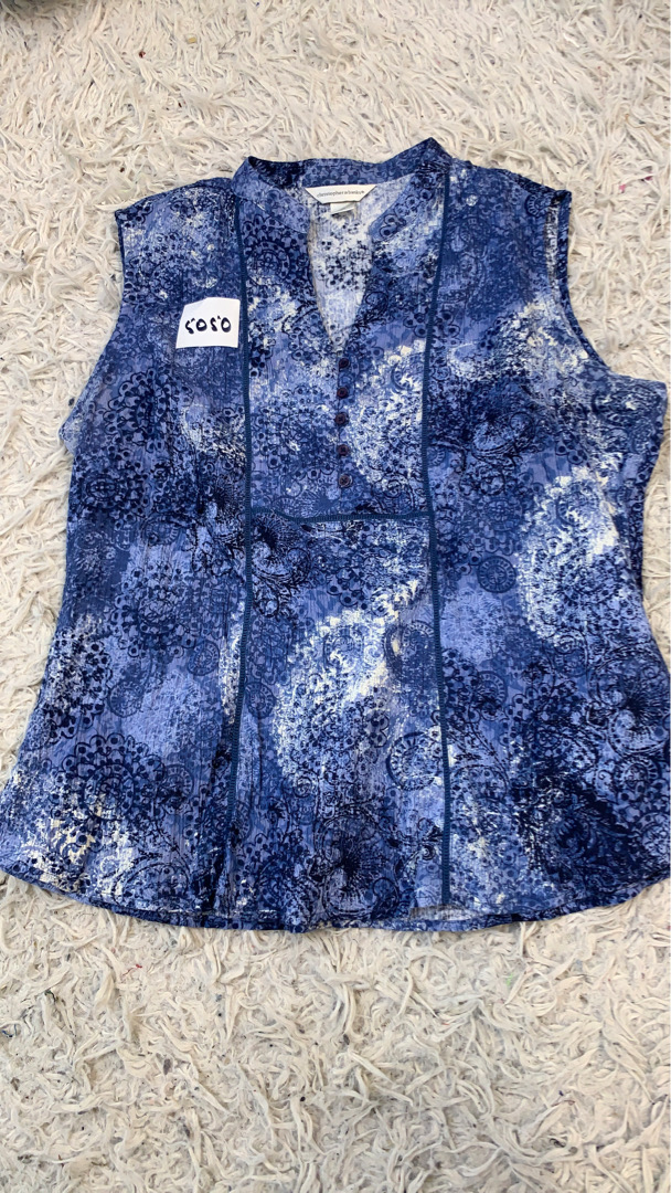 Christopher & Banks Blue Paisley Sleeveless Top