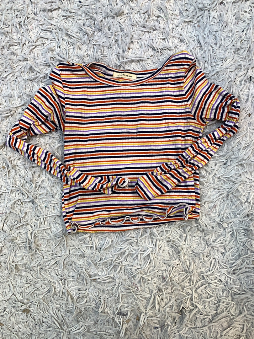 Multicolor Striped Top