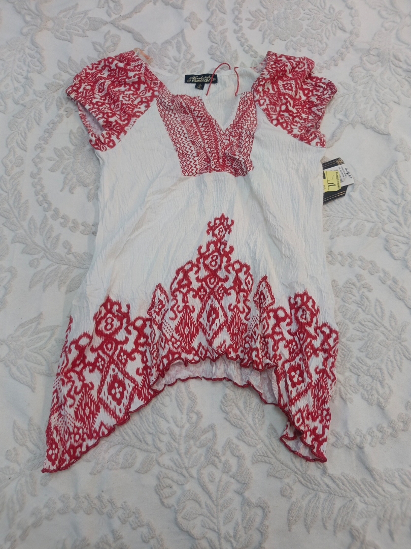 Absolutely Famous Embroidered Top