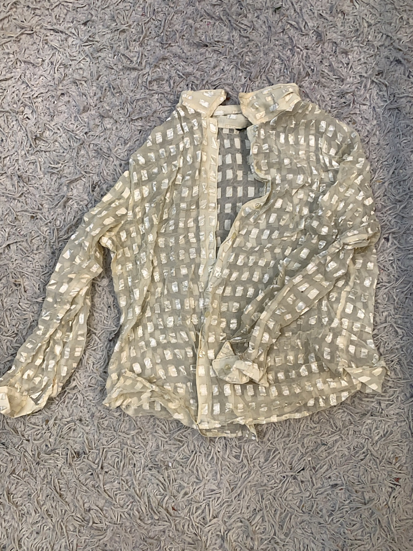 Sheer Blouse with Metallic Pattern