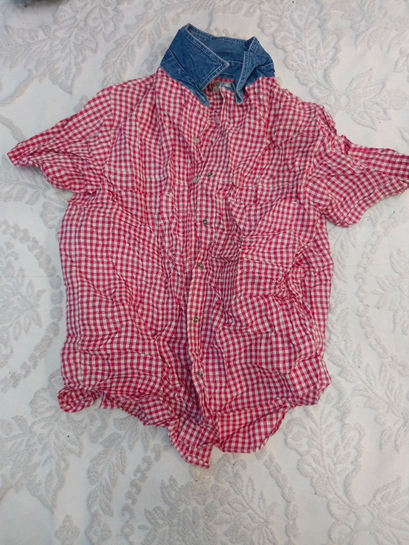 Gingham Shirt with Denim Collar