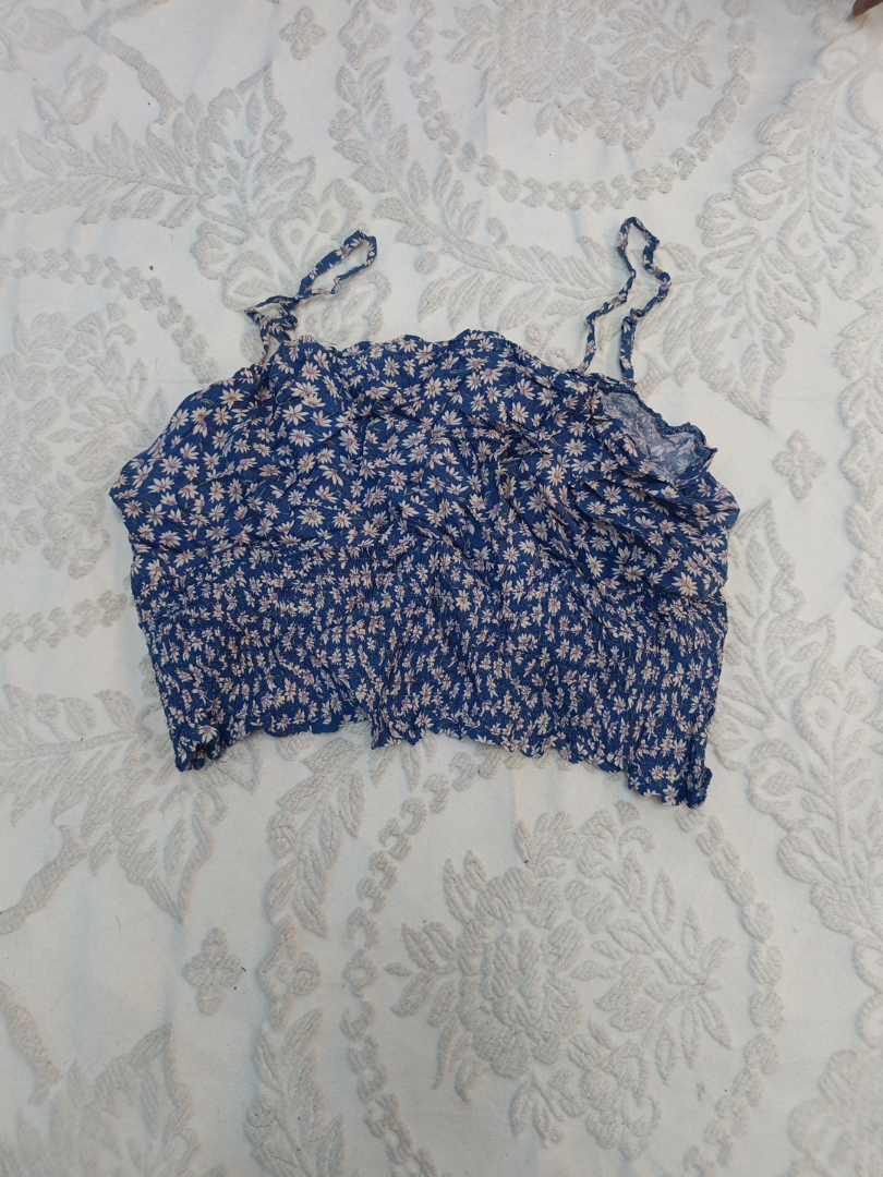 American Eagle Floral Cropped Top