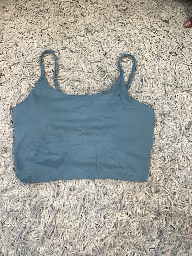 Blue Crop Top