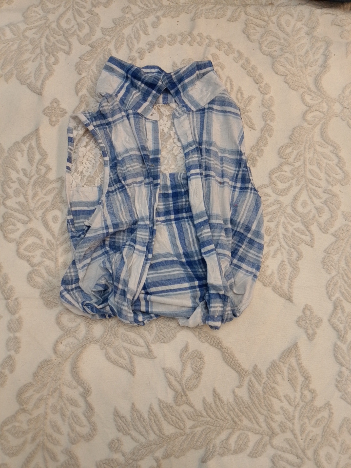 H&M Cropped Plaid Shirt with Lace Inserts