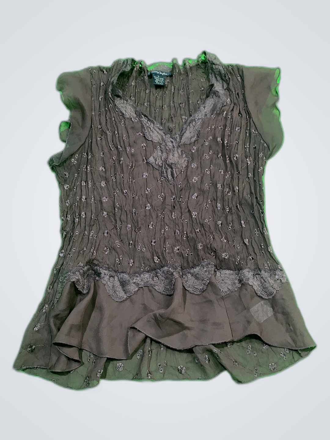 Sunny Taylor Sheer Ruffle Blouse