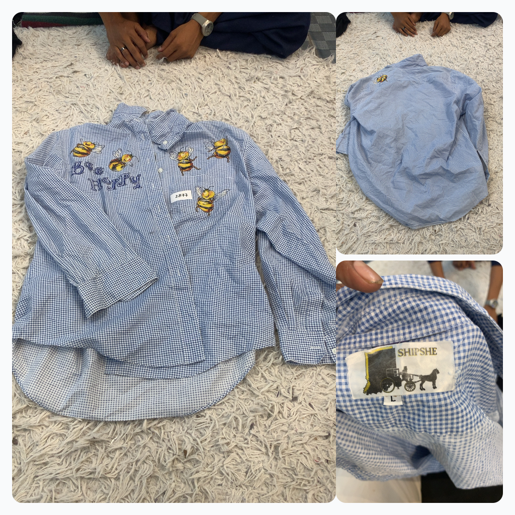 Camisa de Botão Azul e Branca Xadrez com Bordado d..