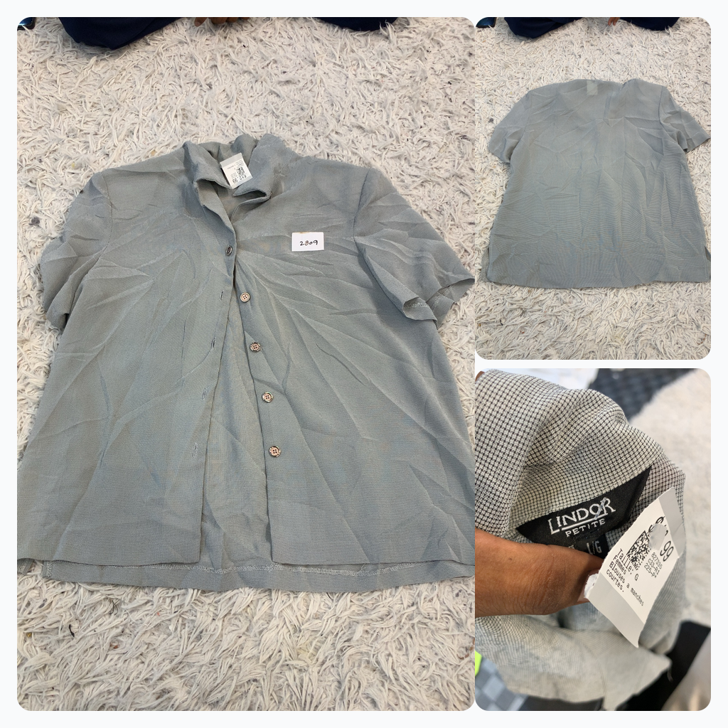 Lindor Petite Button-Up Blouse