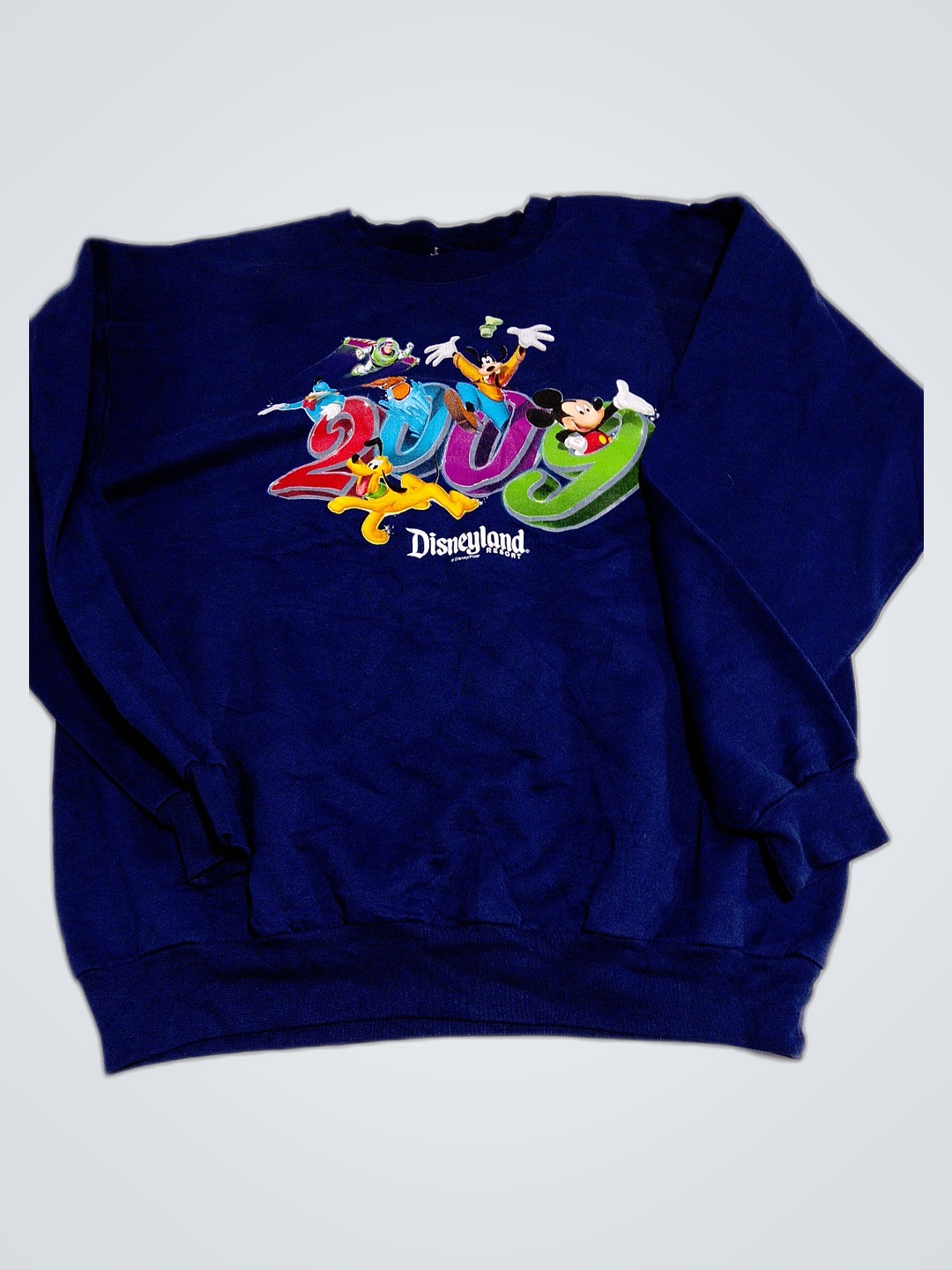 Disneyland 2000 Sweatshirt