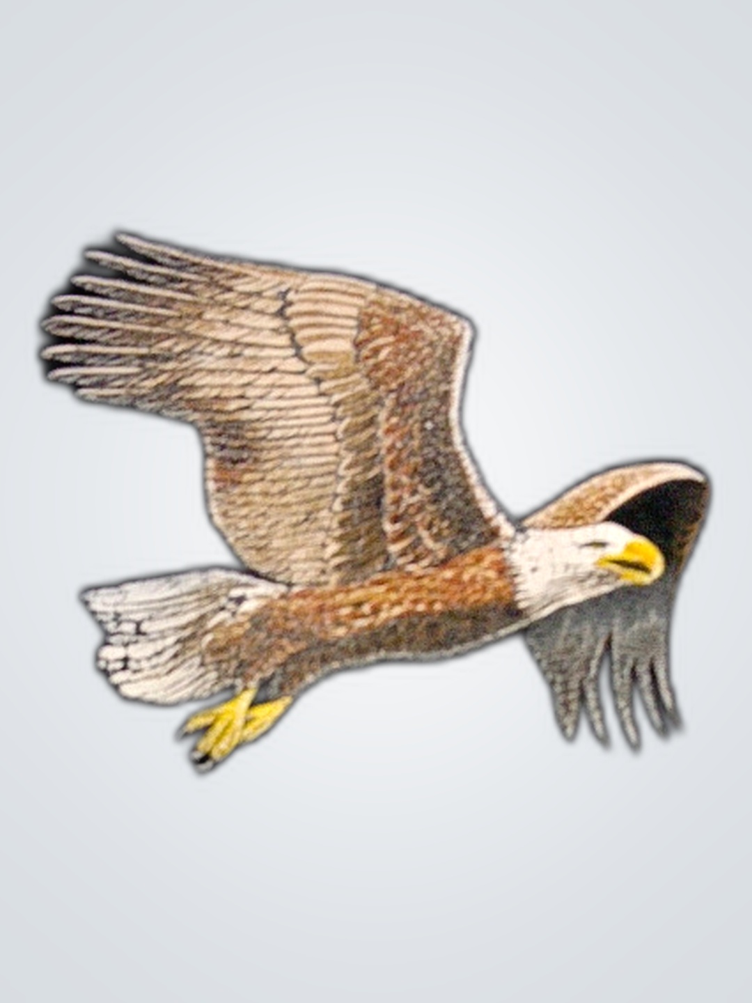 Lee Black Eagle Embroidered Crewneck Sweatshirt