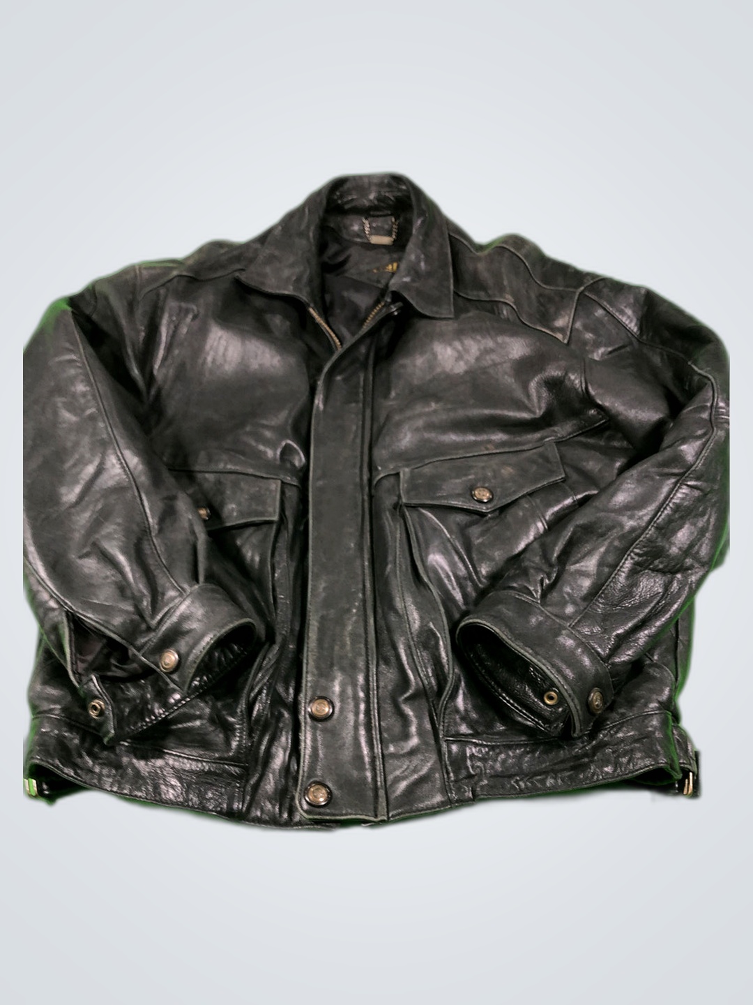 Danier Leather Jacket