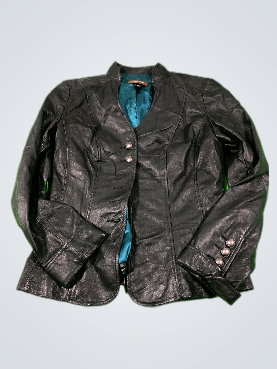 Danier Leather Jacket
