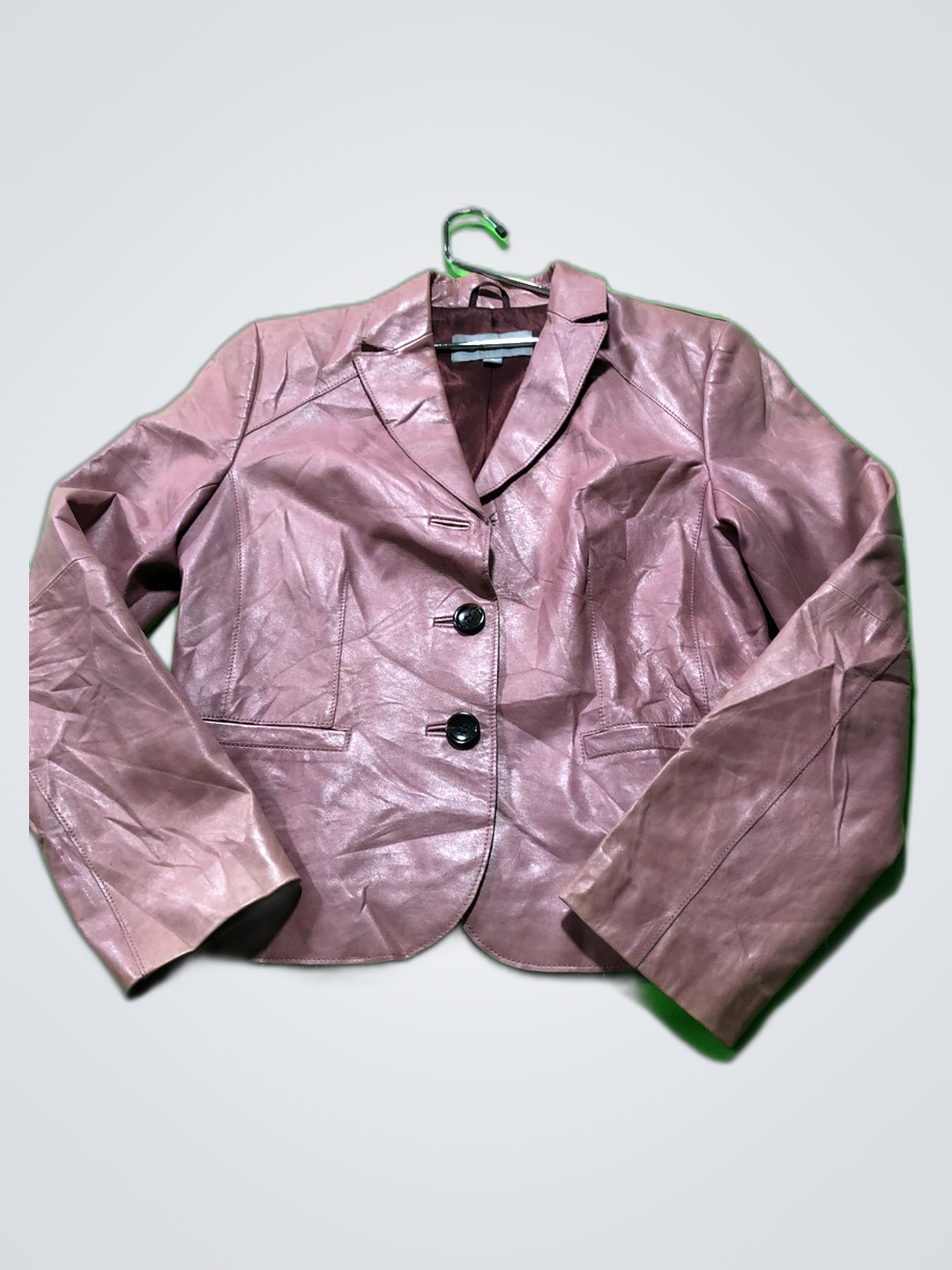 Ann Taylor Petites Leather Jacket