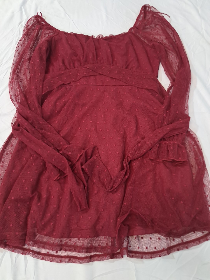 Maroon Polka Dot Mesh Dress