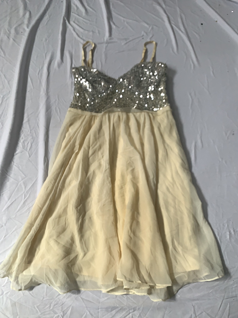 En Creme Sequin Top Chiffon Dress