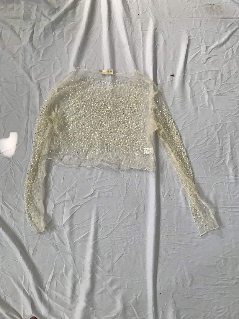 Sheer Embellished Long Sleeve Top