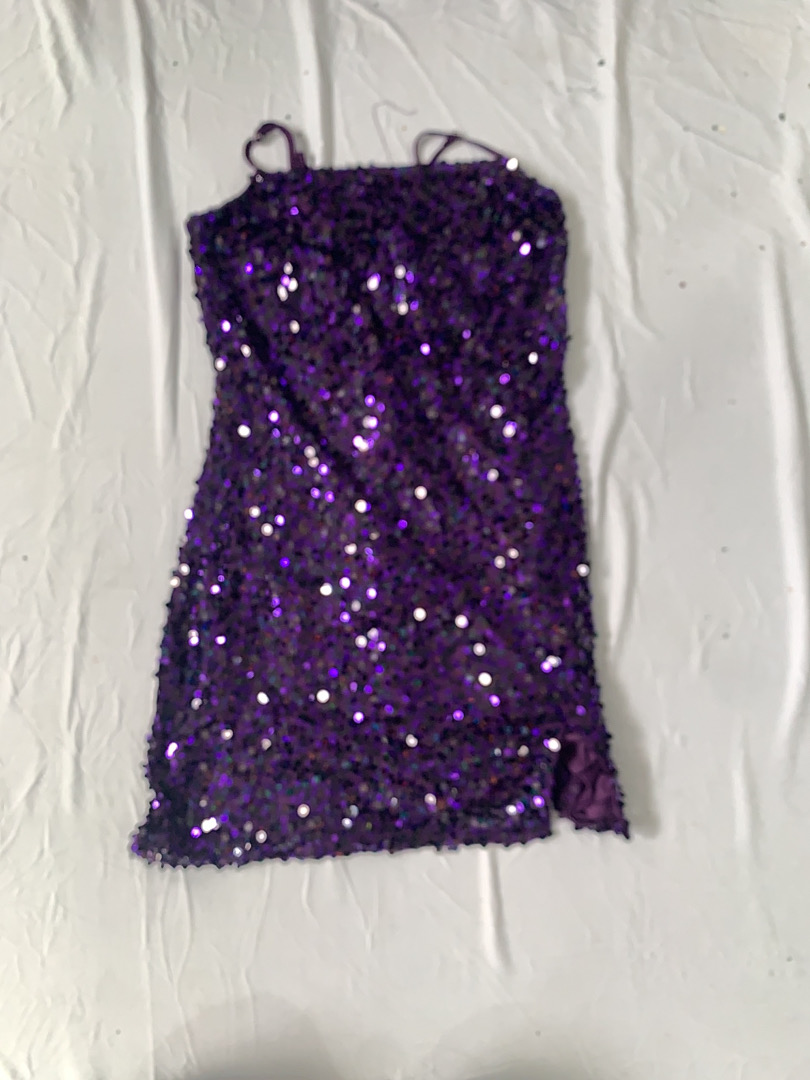 Wild Fable Purple Sequin Mini Dress