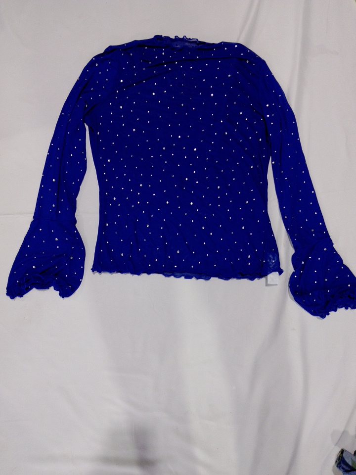 Blue Mesh Long Sleeve Top with Rhinestones
