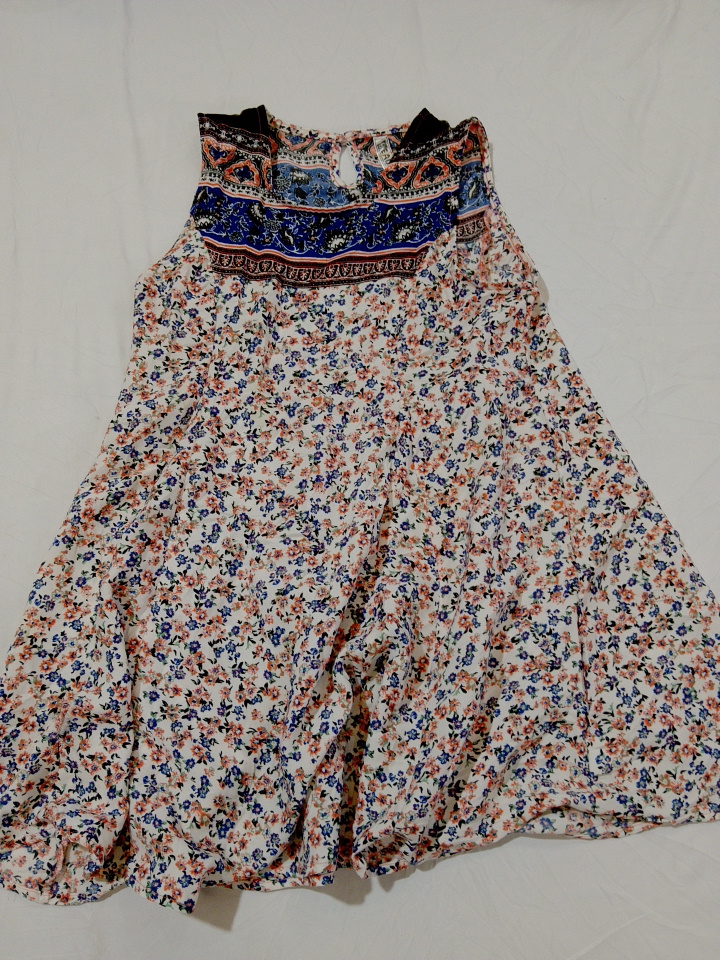 Floral Print Sleeveless Mini Dress