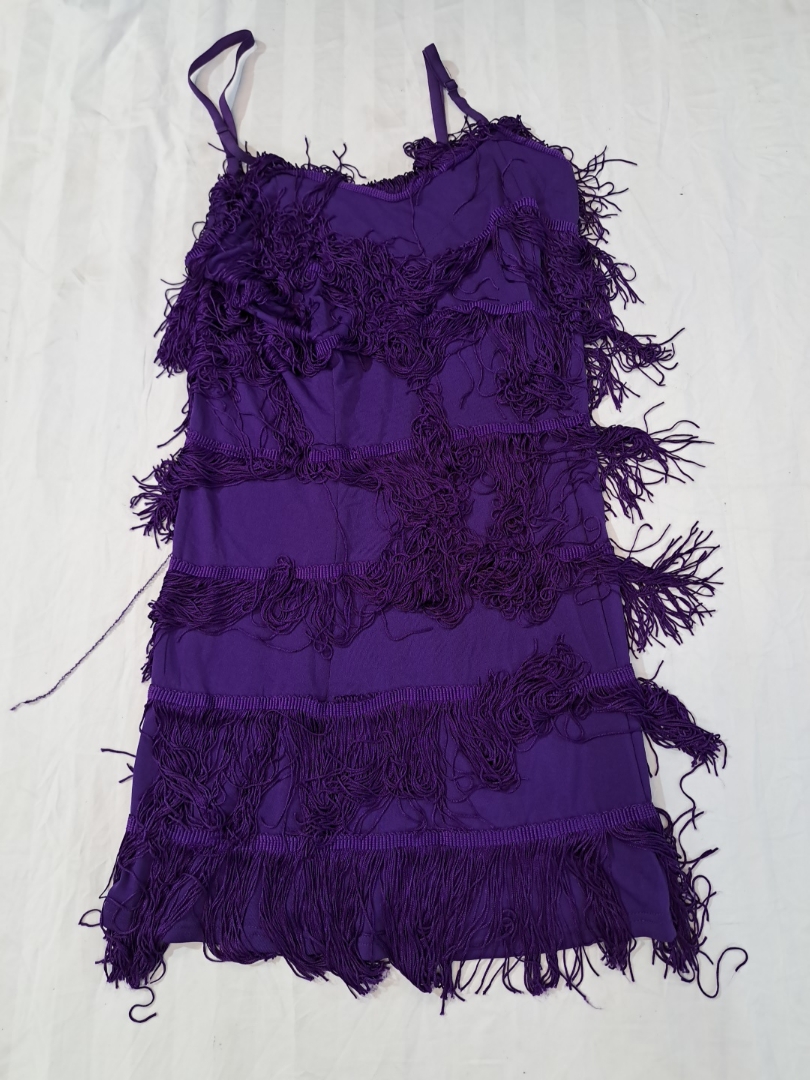 Purple Fringed Dress